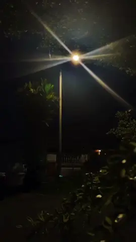 #nature #tiktok #fyp #foryou #fypシ #night #foryoupage #fypシ゚viral 