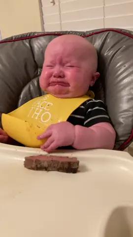 This boy really loves his steak. He was absolutely devastated anytime he dropped it.  #babyledweaning #6monthsold 
