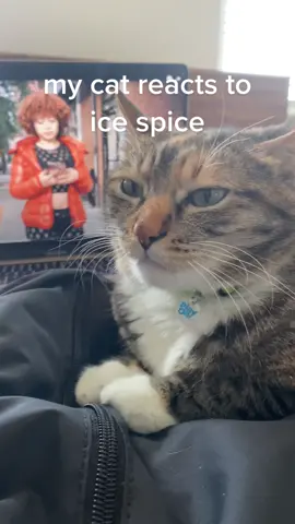 Ice Spice is always making her go crazy 🧡 She brings the best reactions out of her 🔥 #icespice #icespicecult #icespiceedit #cat #hiphop #rap #raptok #cats #catsoftiktok #icespicemunch #boysaliar #fyp