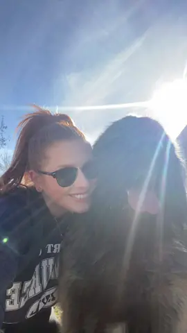 Just took this video to screenshot for pics but thought it was cute, and If you dont let your dog kiss you face, I dont trust you 😂 #Bear #dogsoftiktok #leonberger #dog #wisconsinpups 