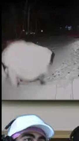 That Ring camera gon catch you slippin😂#ringcamerafails #fyp #winter 