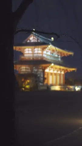 #අමාවක #හදවතක #පෑයූ #පහන් #තරුව #නුබ 🇯🇵✨  #fypシ #foryou #japan #srilanka #dreamcountry🇯🇵 #night #viral #aesthetic  #japandream111 