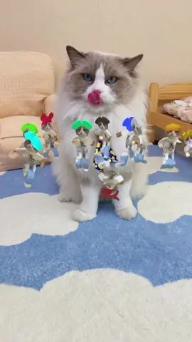 TikTok’s got a new filter: come and dance with Puff! #thatlittlepuff #catsoftiktok #dance 