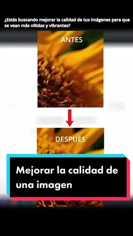 Mejora la calidad de una imagen en segundos! #calidadimagen #tutorial #mejorarimagen #ia 