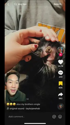 #greenscreenvideo #wart #dermatologist #dermdoctor #skincare #skin #drdavidkimderm #hpv #puppy #pet #pets #LearnOnTikTok 