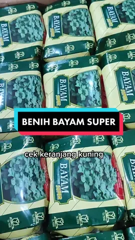yuk kaak benih bayam supernya 😍