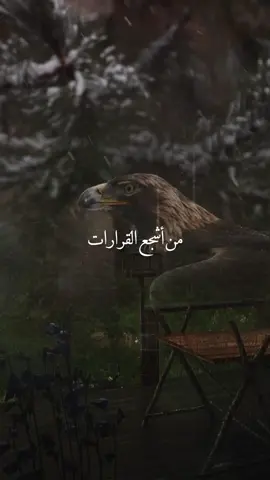 اجشجع قرار تتخذو بحياتك #عبارات #ابراهيم_شيخاني 