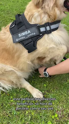 O peitoral mais completo para passeios e viagens! #cachorro #animal #pet #peitoral #passeio #viagem #personalizado #goldenretriever 