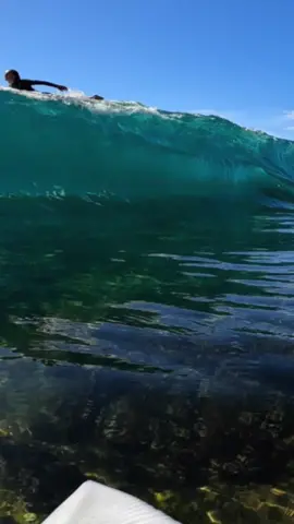 POV SURFING CRAZY REEF SLAB! ☠️ #satisfying #surfing #ocean #travel #nature #waves #surferboy #surfedit #surfingvideos #surfpov #surf #surfing #surfer #povsurfing #surfvideos #surfingvideo #surftok #surferboy #surfers 