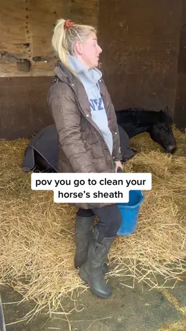 he was just tryna sleep😂 #fyp #foryoupage #foryou #pov #relatable #horsegirl #equestrian #equestrianlife #horse #sheathcleaning #sheath 