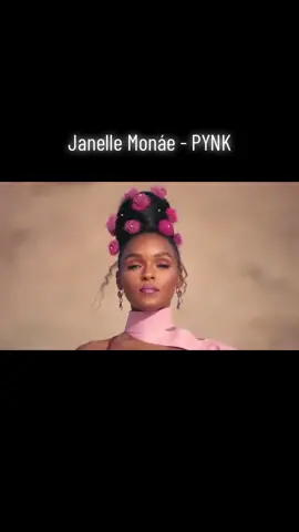 Janelle Monáe - PYNK . . . #janellemonae #pynk #video #music #musica #women #day #mujer #dance #fyp #parati #dia #viral #instagram #tiktok #vibes 