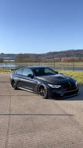 Black&Shiny ⚫️  #bmw #bmwmotorsport #bmwm4 #bmwm #Motorsport #bmwm4competition #bmwf82 #bmwlife #car #cars #carsoftiktok #cartok #carporn #clean #dirty #sun #shine #shiny #black #blue #red #m #bimmer #beamer #vario #beast #beastmode #star #model #modeling #track #race #tracktool #racecar #drift #drifting #bmwdrift #deep #low #airlift #airliftperformance #wheelforce #wheelforcewheels #fast #fastandfurious #kino #tuning #carbon #tuningcar #sportcar #supercar #hobby #leidenschaft #nice #Love #legal #tiktok #fyp #fy #fypシ #foryou #foryoupage #viral #viralvideo #viraltiktok #goviral #meme #trend #trending #m4 #m4worldchampionship #king #queen #bmwm3 #bmwm4 #bmwm5 #bmwm2 #bmwm8 #bmwm6 #coupe #carscene #carspotting #carspotter #wing #beast #monster 