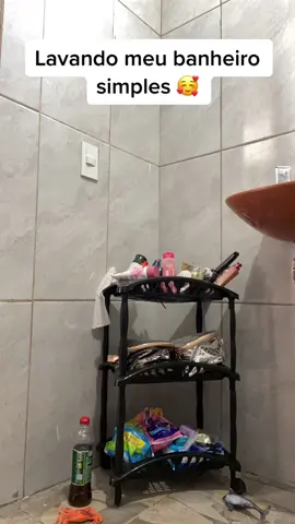 #limpandoobanheiro #donadolar #rotinadecasa #faxinaeorganização #casaorganizada #organizaçãodecasa #damares 
