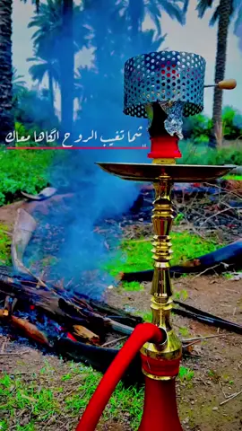#نمشي ولاندري على وين ماشين والعمر لامن راح محدن يقدر يرده🥺💔