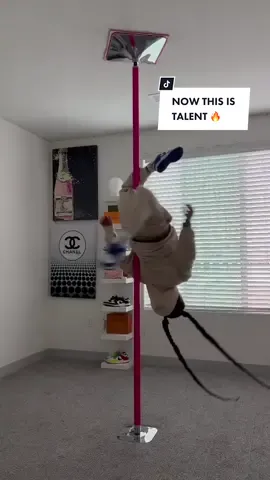 Walking into Women’s Month like… 😜 (Video: @ariel.alexa) #poledance #nikedunks #hypebae #dunks #poledancingmotivation 