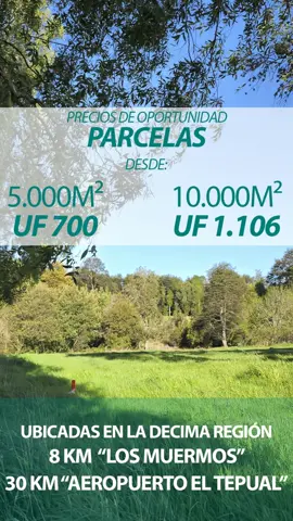 Parcelas 5.000 m2 Región de Los Lagos