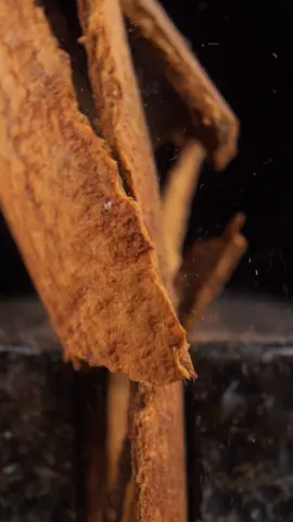 Crushing Cinnamon stick #cinnamon #cinnamonstick #asmr #macro #satisfying 