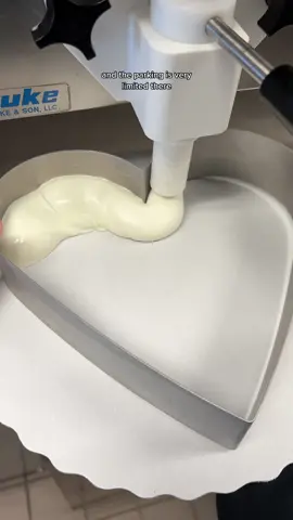 no tears were shed, but it was a close one #storytime #hamilton #icecreamcake #dq #cake 