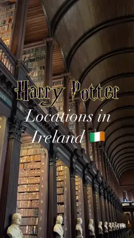 Reggies resting place :( wish you took swimming lessons <\3 #fyp #harrypotter #hogwarts #hptiktok #marauders #regulusblack #ireland 
