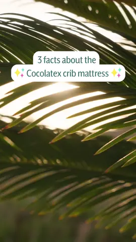 We are so proud of our Cocolatex crib mattress 🥲🤍 #babysleep #babymattress 