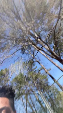 Y’all almost got me hit by an ambulance😭 #earrien #ambulance #wreck #carsoftiktok #rappers 