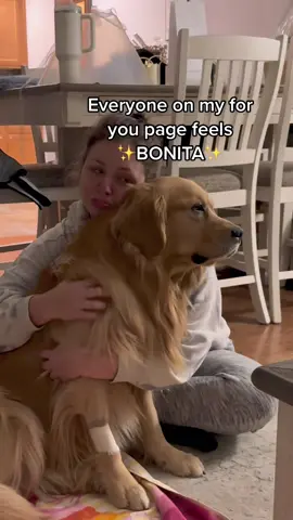 When you just got your 🥜 chopped off… #fyp #foryoupage #dogsoftiktok 