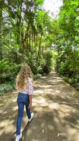 🌳Conheça o Parque Burle Marx, localizado na zona Sul de São Paulo! 📌Aproveita e marca quem vai conhecer esse cantinho especial de Sampa com você! #naturezaperfeita #paisagensnaturais #vibesdanatureza #paisagensincríveis #passeiosnanatureza #tiktokviagens #parquesemsaopaulo #burlemarx #areasverdes #amosampa #visitesp 
