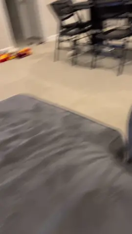 Zeus zoomies looking a lot like office parkour 🧐 #fyp #greatdane #greatdanesoftiktok #parkour 