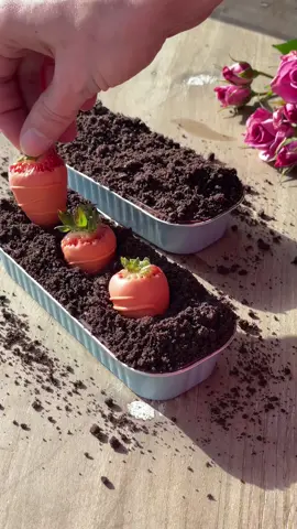 Carrot Row Cakes 🥕🥕 #cakes #cakedecorating #baking #cottagecore #aestheticbaking 