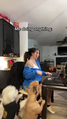 Anyone else😂😂😂 #funny #puppies 