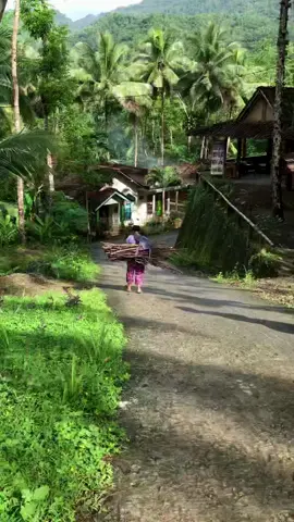 Suasananya enak banget ya masih seger  📽️desawisatahargotirto#desa #pedesaanindah #pedesaan #didesa #kampungjawa #pedesaanyangsejuk #pulangkampung #pedesaanjawa #jawa #kampungku #alami #kampung #nature #alam 