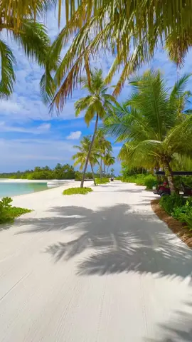 a perfect walk on the beach is needed!  #aestheticvideos #relaxation #peaceandnature🌿 #peace #foryoupage #ocean #ocean #beautiful #fypシ #fyp 