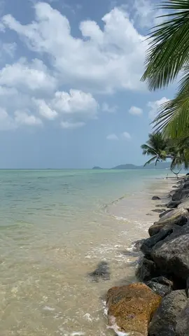 #เกาะสมุย🌴  #เที่ยวทะเล #คลื่นทะเล #น้ําทะเลสวยๆ #วิวทะเล #island #ธรรมชาติ #ถ่ายรูปทะเล #เที่ยวทะเลชิวๆ #ธรรมชาติสวยงาม #ลมทะเล #goodmorningsea #tiktokพาเที่ยว #วิวธรรมชาติสวยๆ #beachvideos 