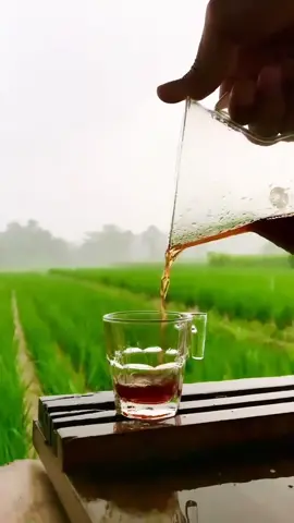 Kopi Air hujan #storytime #hujan #tasikmalaya #sederhana #cerita #renungan #mytripmystory 