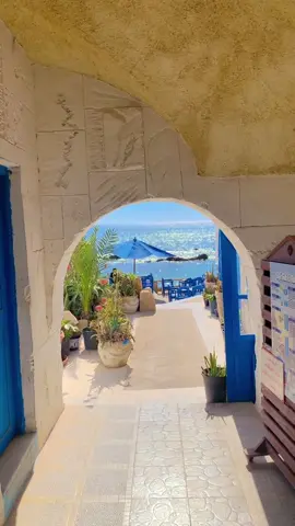 #tunisia #kelibia🇹🇳🇹🇳 #sidi_bahri_kelibia_tunisia 🇹🇳❤️