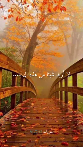 لا أريد شيئا من هذه الدنيا... #viral #fypシ #explore #اكسبلور #fouryou #حب #حالات_واتس #ستوريات 