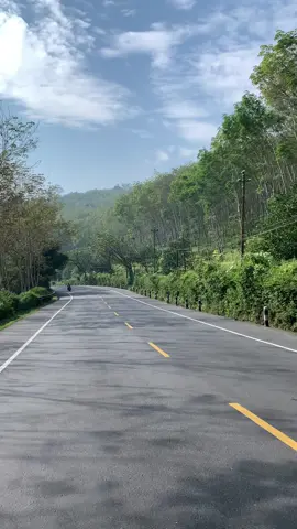 ada yang sering lewat jalan ini? #jambu #ambarawa #semarang #temanggung #fypシ #nofyp #semarangstory 