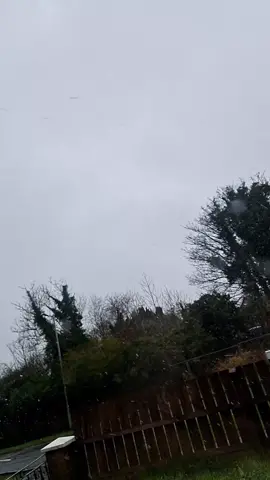 #tiktokpoll #weather #snow #snowfall #snowey #snoweyice #coldoutside #freezingweather #snowday #snowisfalling  #poll 