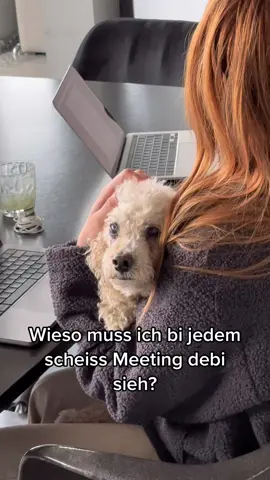 Was sind dini Gedanke während emenä Meeting?🤪 #office #switzerland #agency 