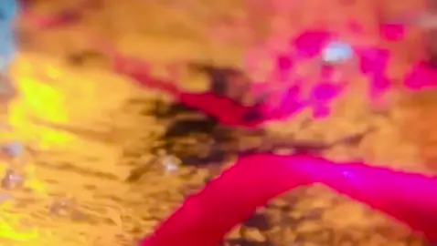 میڈی جان❤️🥀#CapCut #منکر_اور_منافق_پوسٹ_سے_دور_رہیں🔥 #fypシ゚viral #tiktok #loveyoutiktok #foryoutrick #foryou💯❤️foryoupage💞 @RANA ASHIR KHAN🇵🇰🇬🇧 