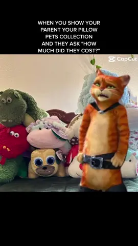 Awww…. Hmmmm…. Welllll….. I don’t know!😂😂😂😂😂😂😂😂😂😂😂😂😂😂 #❤️pillowpets 