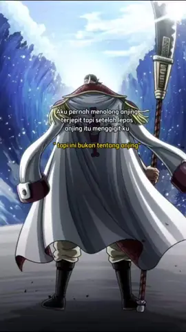 #fyp #fypシ #fypシ゚viral #onepiece #storywakeren #mugiwara #anime #badass #quotes #katabijak #anime #shirohige 