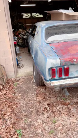 #update #1969 #mustang #ford #1975 #chevrolet #chevy #pickup #c10 #carguy #youtube #tiktok #project #car #truck #projectcar #projecttruck #worktruck #musclecar #american 