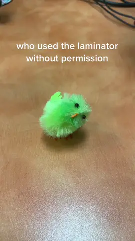 we almost broke the laminator doing this @blurred.reality #fyp #foryou #chick #chicken #yellowchick #yellowchicken #whowentinthepoolwithoutpermision 