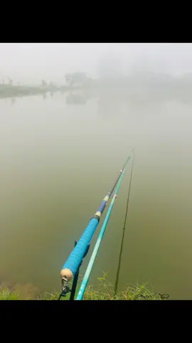 Sương mù đến 8h30 chưa hết thế này thì meo meo uy tín luôn. 