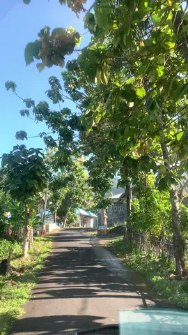 Foramadiahi #malukuutaraternate 