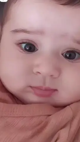 #CapCut #qatar🇶🇦 #tamilsong #trendingsong #Love #cutebaby #cute #awsome #status #cat 