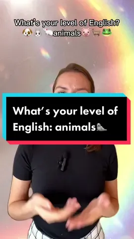 What’s your level? Leave a comment:) #englishlangaugelevel #englishteacher #englishonline #studyenglish #englishlevel #ingles #anglais #englisch #английский #englishvocabularywords 