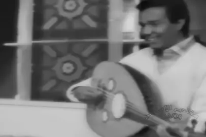 محمد عبده يغني لإبنته هيفاء 