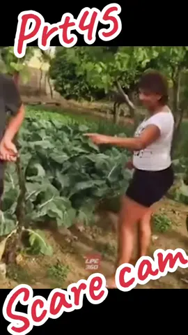 Scare cam prt45#dmd1210800 #foryoupage #fypシ #4you #4yp #foryourpage #fypage #prank #😂🤣 #funny #fy #4u #scareprank #scarecam #fun thnx 4 watchong & 4 all the support👊👍❤️ is only 4 the funn😂🤣👍👊🥰